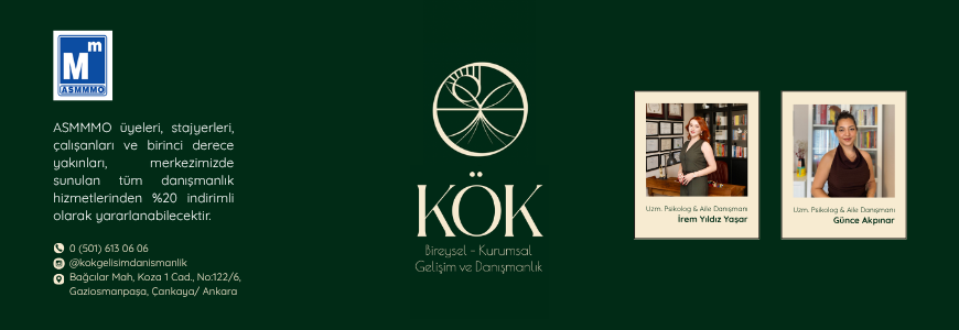 KÖK GELİŞİM VE DANIŞMANLIK