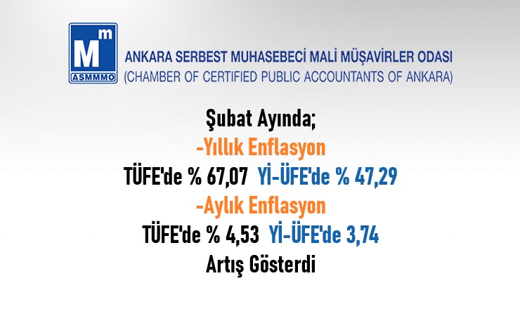 Şubat / 2024 TÜFE ve Yİ-ÜFE Değişim Oranları