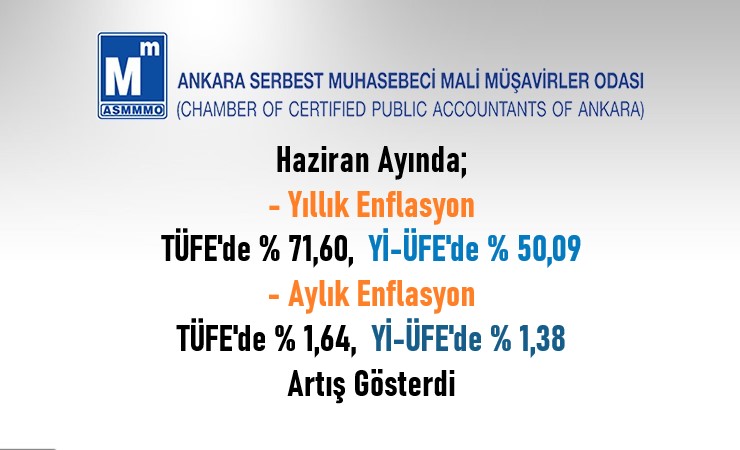 Haziran / 2024 TÜFE ve Yİ-ÜFE Değişim Oranları