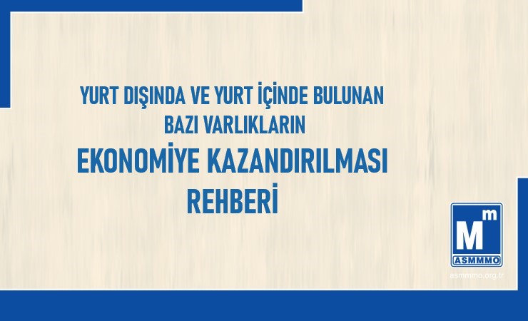Yurt Dışında ve Yurt İçinde Bulunan Bazı Varlıkların Ekonomiye Kazandırılması Rehberi