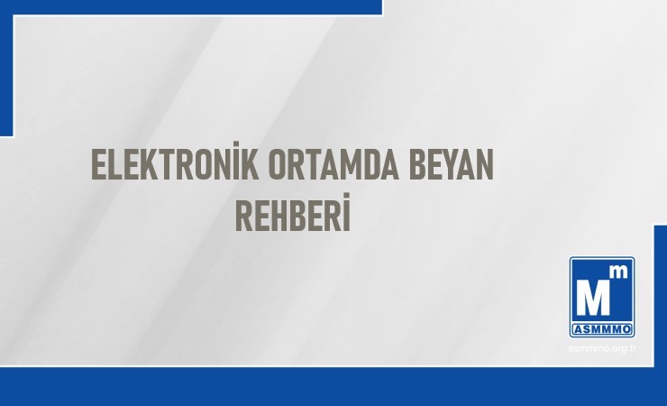 Elektronik Ortamda Beyan Rehberi