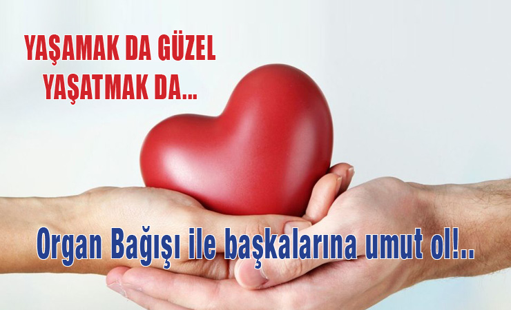 Organ Bağışı