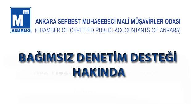 BAĞIMSIZ DENETİM DESTEĞİ HAKKINDA