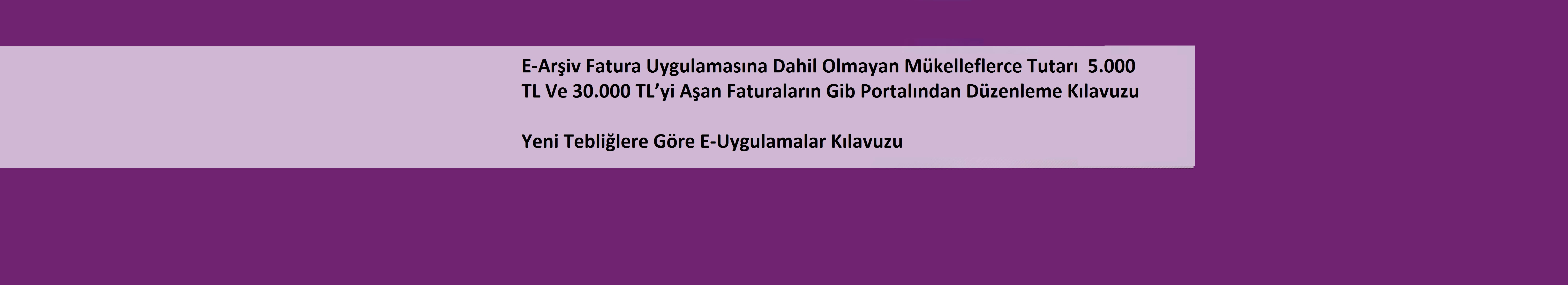E Uygulama Kılavuzları