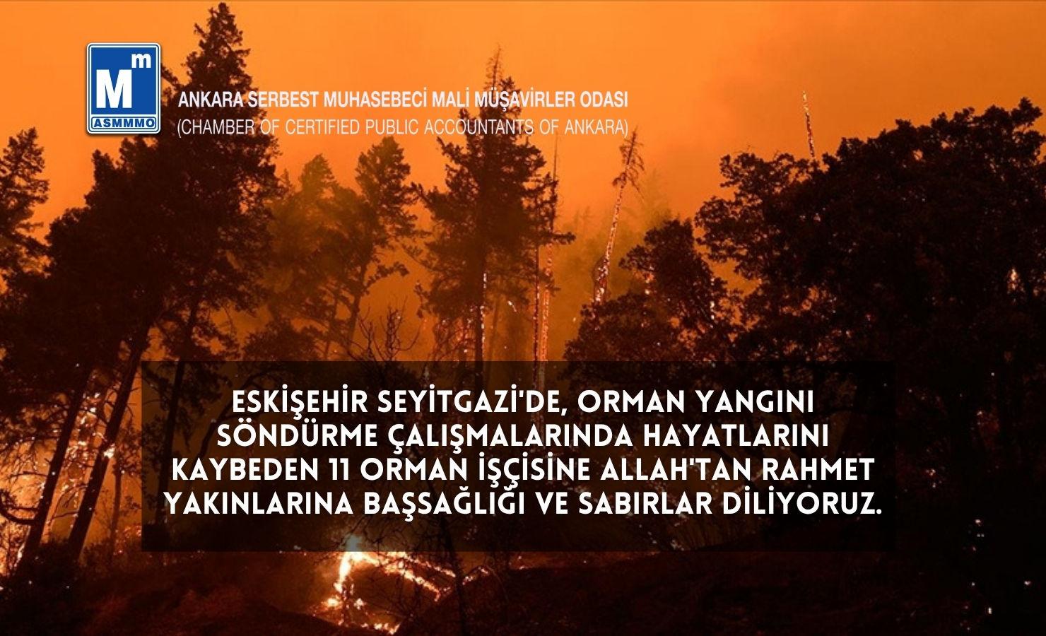 Başımız Sağolsun