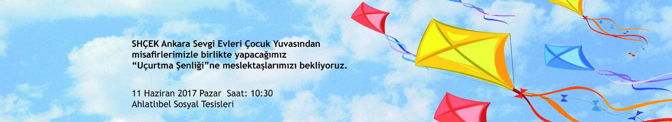 Uçurtma Şenliği