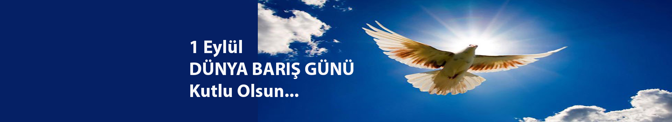 Dünya Barış Günü